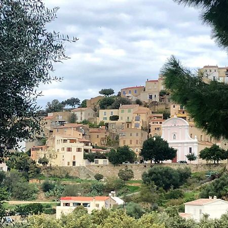 Corse - Lumio, Balagne Petite Maison Loft, Vue Imprenable Sur Le Golfe De Calvi Bagian luar foto